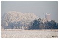 Sneeuwlandschap Achterhoek 3